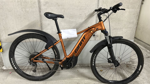 Pedelec der Marke Giant