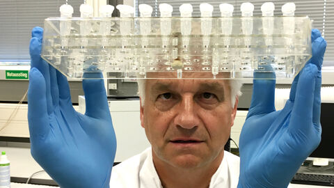 Dr. Harald Schneider, HLKA, hält ein Tray mit DNA-Proben ein seinen behandschuhten Händen