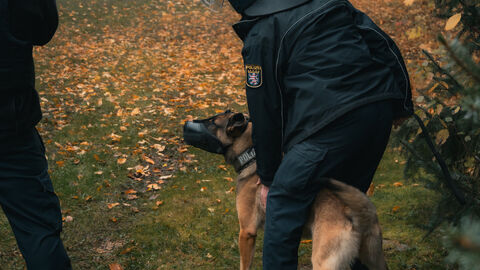 Diensthund mit Diensthundführer/in