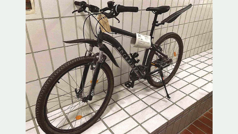 Mountainbike Rockrider Explore 50