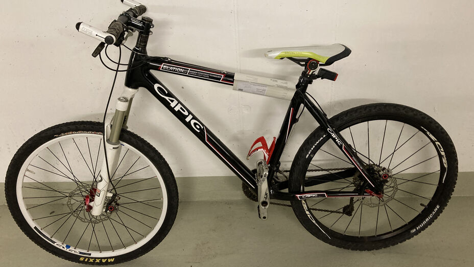 Trekkingrad Capic